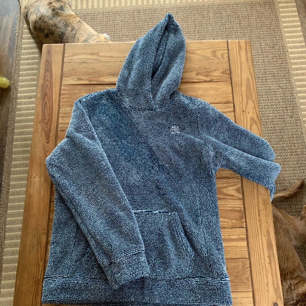 North Face Blue and White Striped Hoodie